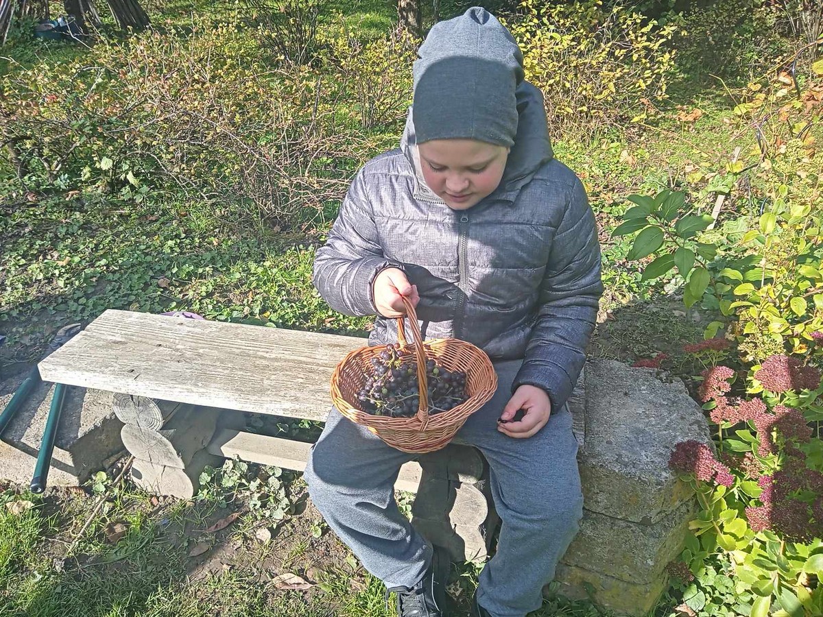 Wycieczka do sadu 